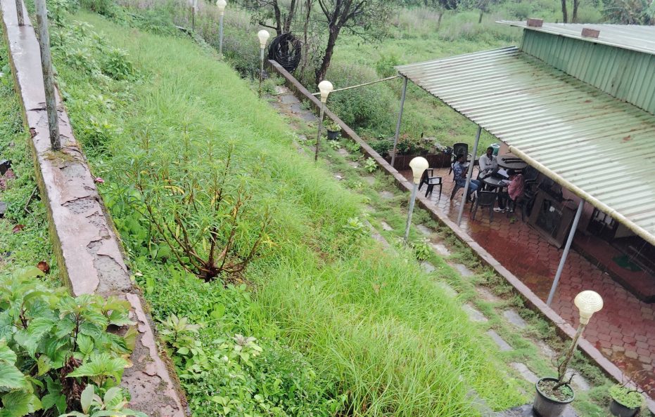 JV Garden