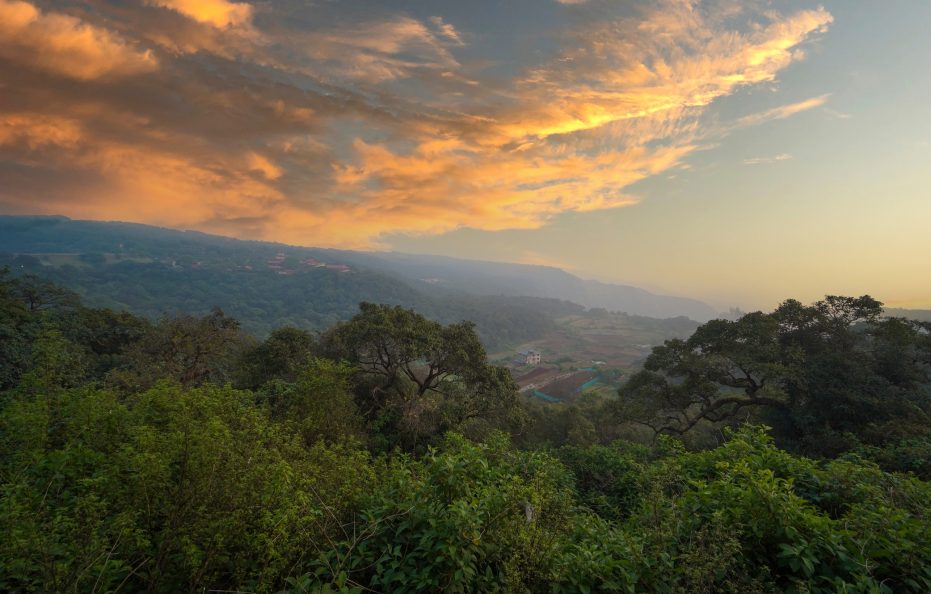 Indira Nature Valley