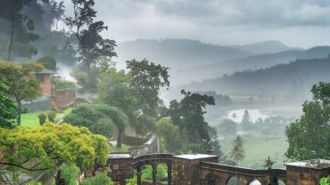 Monsoon Magic in Mahabaleshwar