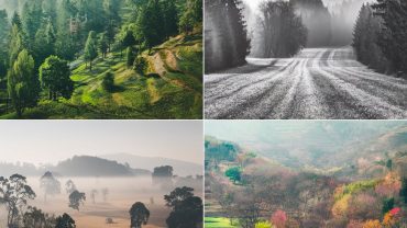 The Changing Seasons of Mahabaleshwar A Visual Journey Through the Year (1)